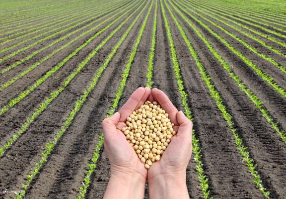 Servicios a la agricultura
