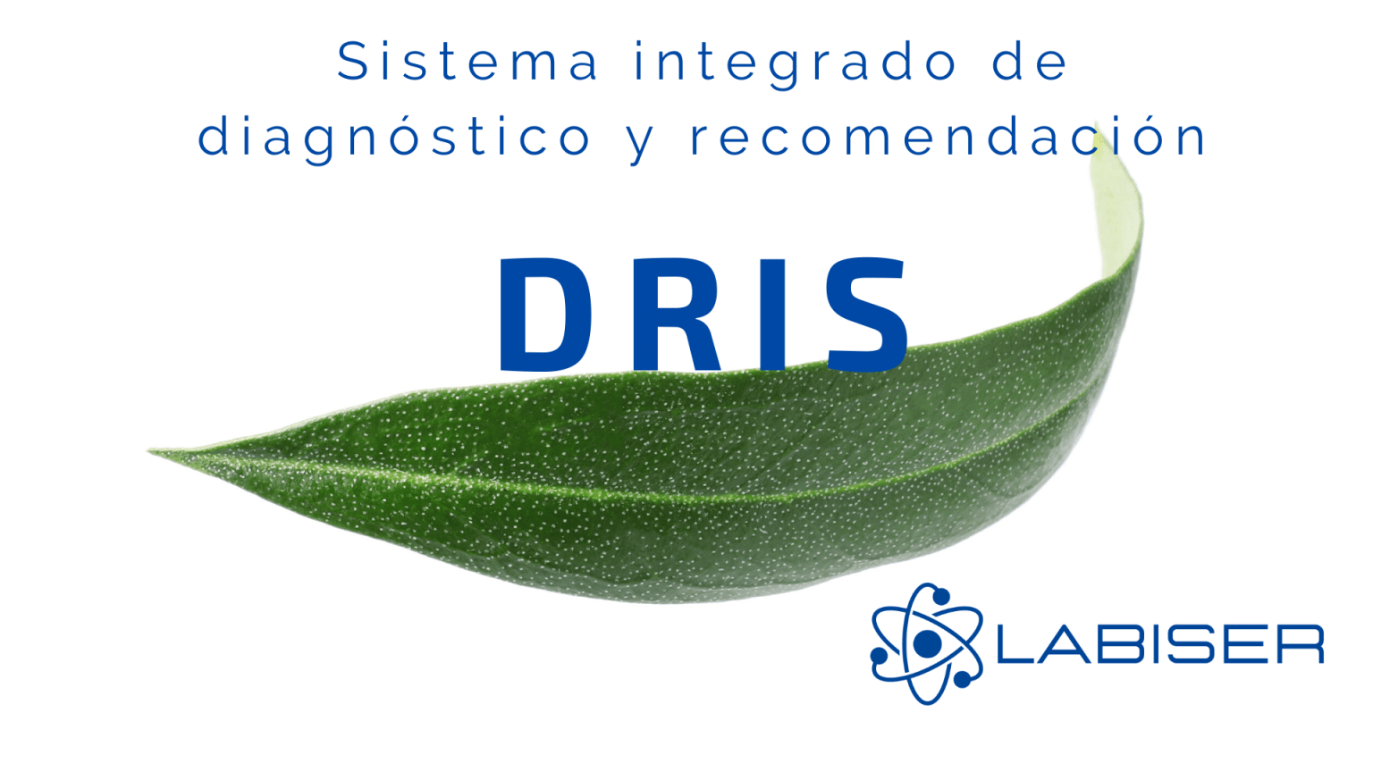 Diagnótico DRIS del Análisis Foliar | Laboratorio Agroalimentario