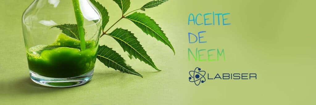 aceite-neem