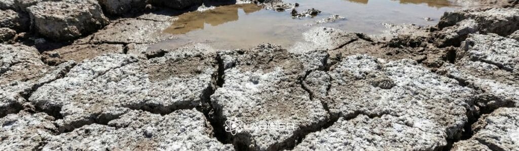 Primer plano de suelo agrícola con alto PSI mostrando grietas, costra superficial y falta de drenaje