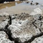 Primer plano de suelo agrícola con alto PSI mostrando grietas, costra superficial y falta de drenaje